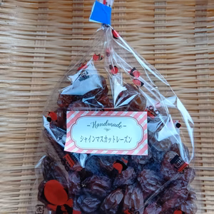 シャインマスカット100%レーズン　100ｇ入り