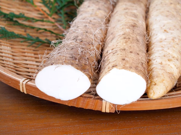 【初出品記念】送料無料☆限定20セット！自然薯500g