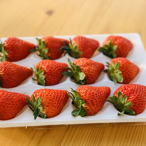 贈答用特選いちご(あまりん)  