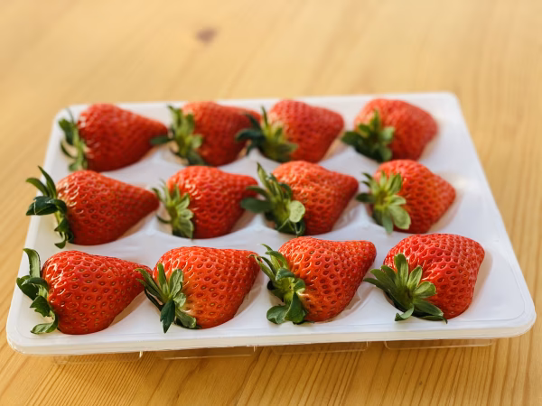 贈答用特選いちご(あまりん)  