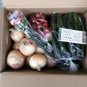【九州発】新鮮野菜セット