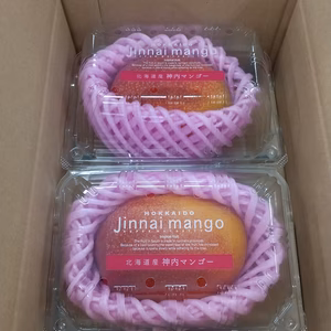【ご自宅向け規格外品】北海道産 完熟神内マンゴー 2玉入