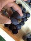 【割れ粒 藤稔】訳アリだけど葡萄らしい深い味わい