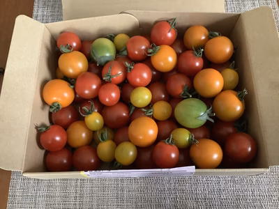 みんなの投稿の画像