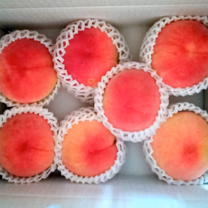 人生の楽園(20200822)の小林農園のあかつき桃2kg(6-8個)7月中旬