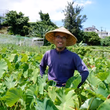 石川栄有 | りんがくや