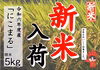 新米！もちもちの弾力！令和6年産「にこまる」5kg(精米５㎏×1袋)