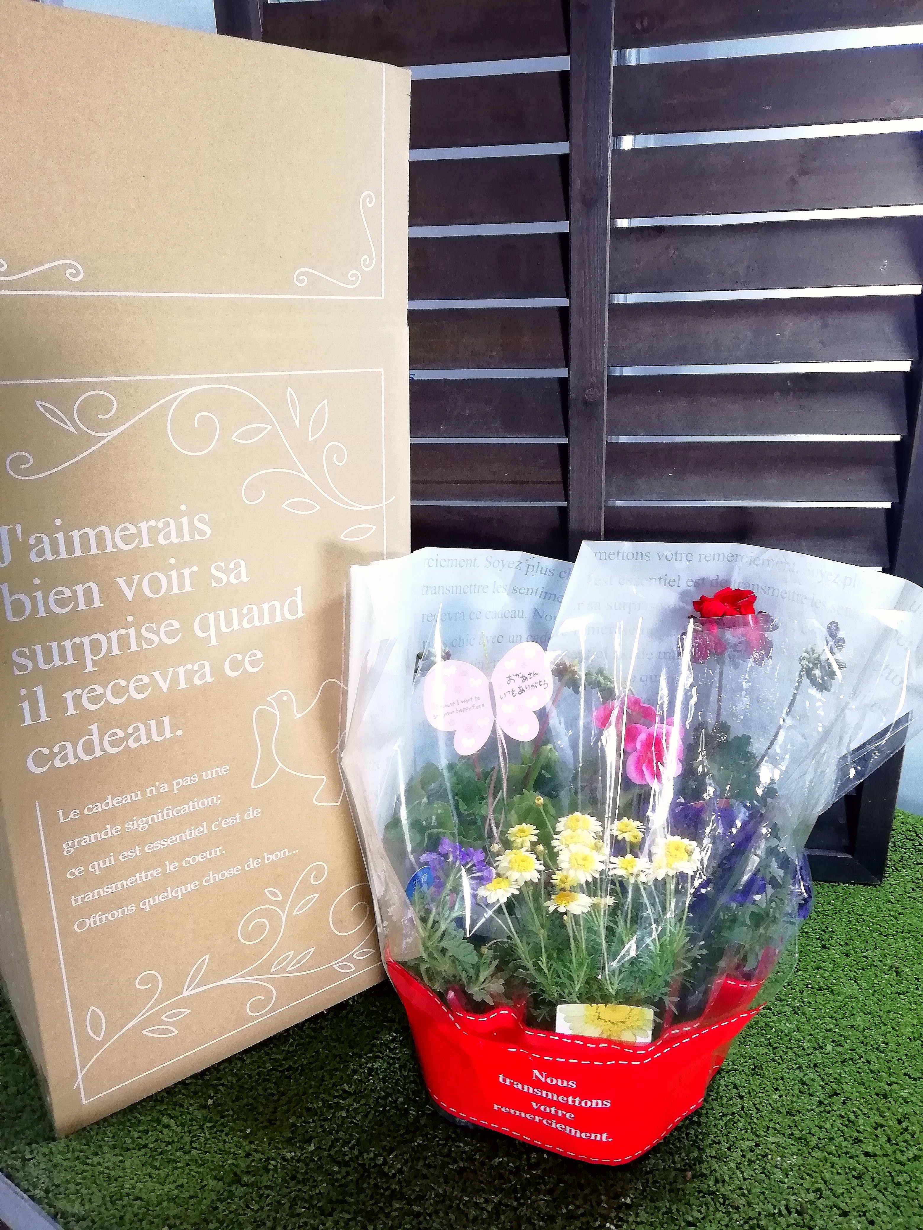 お花好きなお母さんへ もっとも赤い赤ゼラニウムカリオペ 栄養系パテント大鉢セット 農家漁師から産地直送の通販 ポケットマルシェ