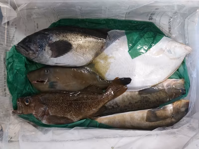 みんなの投稿の画像