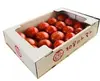 「加賀のトマト」期間限定特別セール！　今だけの特別価格で4kg箱を提供します。　