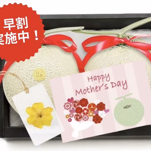 今だけ早割価格！【母の日ギフト】「マスクメロン厳選品」2玉箱入り