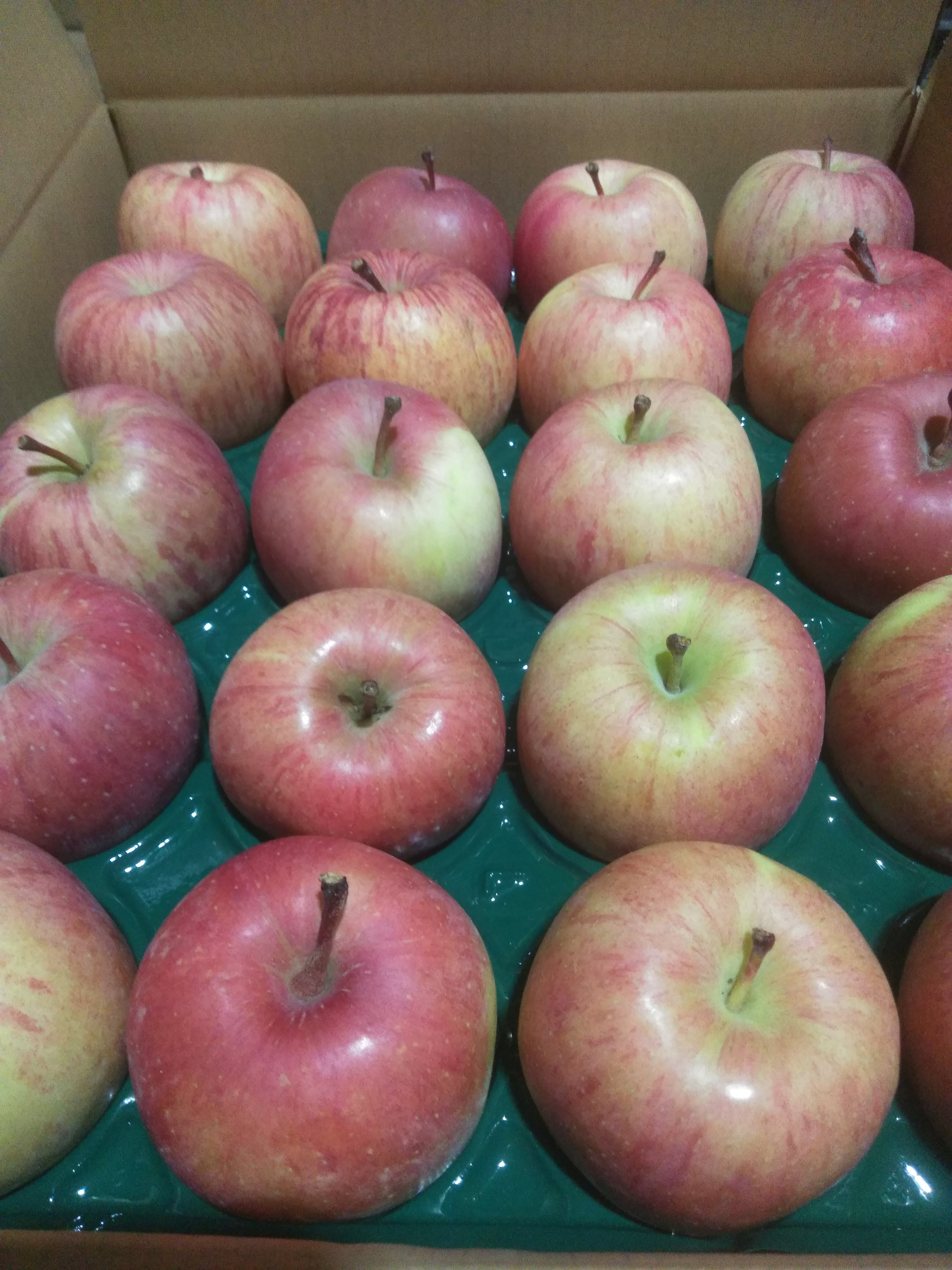 りんご 加工用の産直通販・お取り寄せ商品｜ポケットマルシェ｜産地