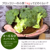 【緊急値下！】賢く時短！小房のブロッコリー