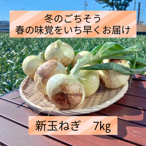 冬のごちそう！野菜ソムリエサミット銀賞【新玉ねぎ】7kg