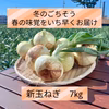 冬のごちそう！野菜ソムリエサミット銀賞【新玉ねぎ】7kg