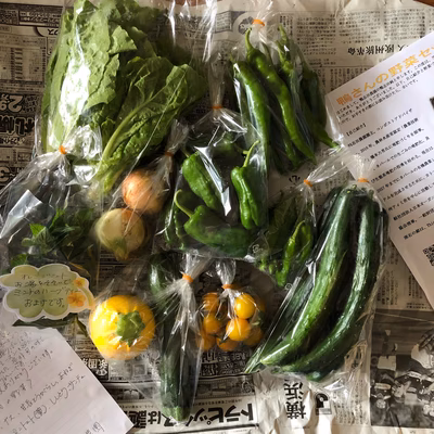 みんなの投稿の画像