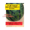 【訳あり品】美味しいうちにすぐ食べて！大玉すいか（ギフトNG）