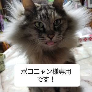 ポコニャン様専用です。