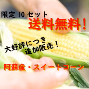 ★送料無料★限定販売！ 阿蘇産スイートコーン《大好評につき第3弾！》