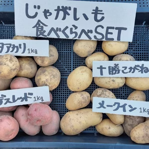 ジャガイモ　食べくらべセット