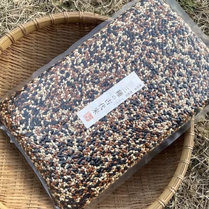 〈メール便〉生命力溢れる 三種の古代米  お得用900g【無農薬・無肥料】