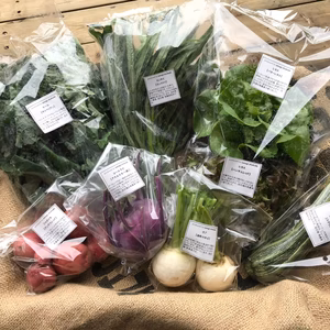 【当日収穫！】季節の固定種野菜セット(7品目)
