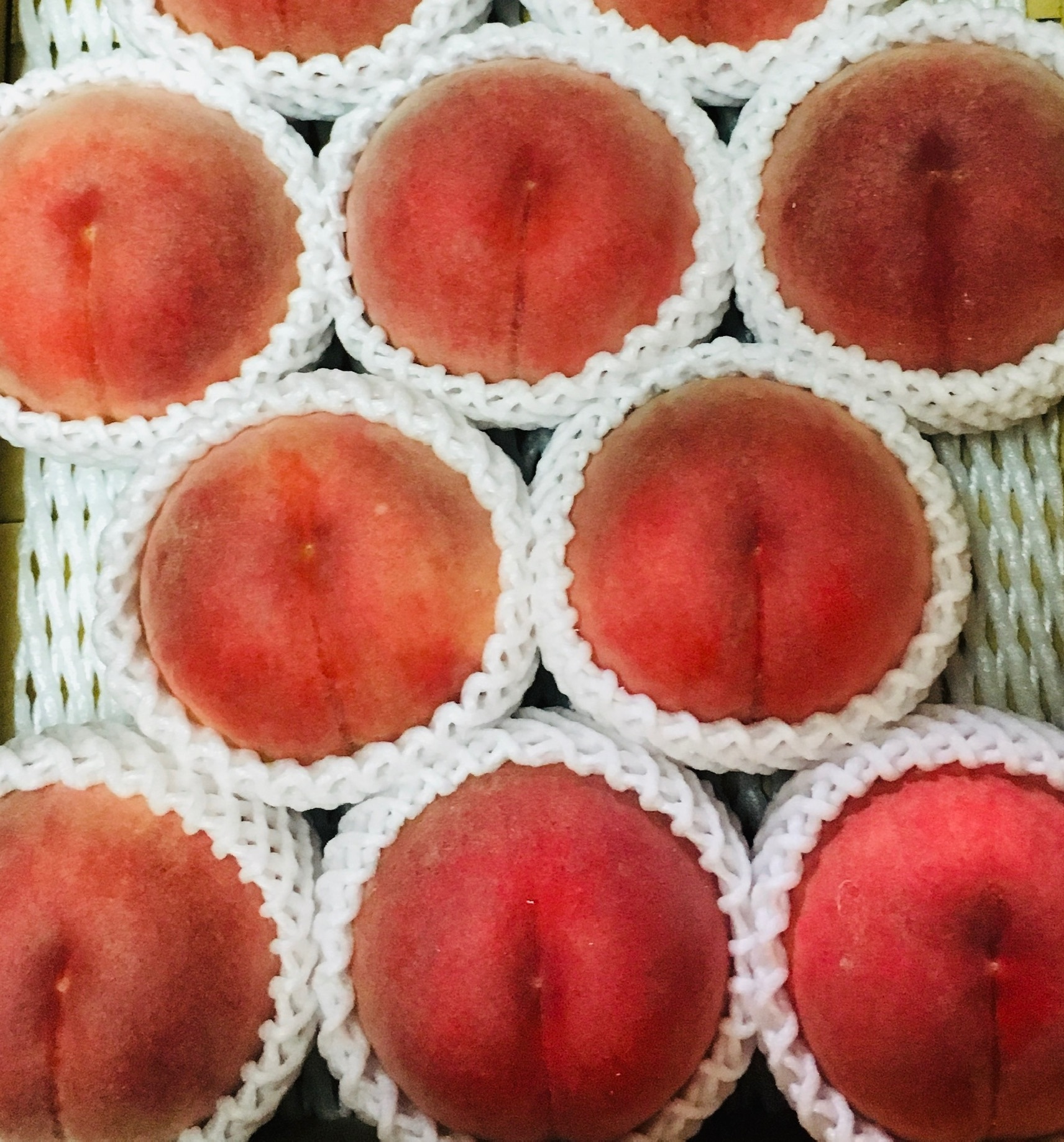 当店限定販売】 希少品種❗️硬い桃❗️福島県産 硬い桃 美郷 モモ もも 桃