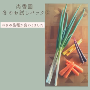 尚香園 冬のお試しパック②