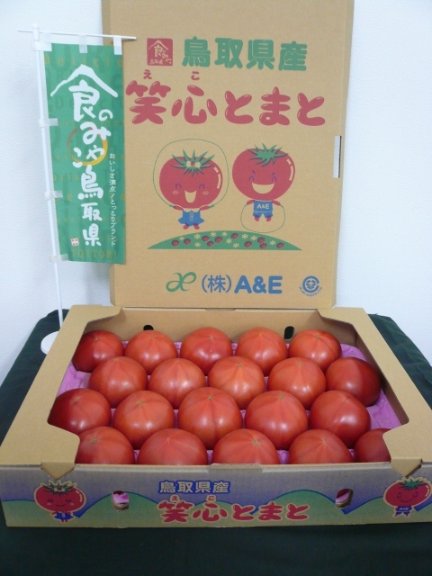 鳥取県産「笑心とまと」4kg箱/★贈答用にも★ 16玉入り又は20玉入り