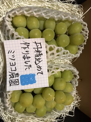 みんなの投稿の画像