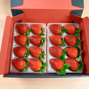 『贈答用とちあいか』フレーズのこだわり完熟いちご
