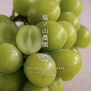 【1.5kg】まろやかな甘みと高貴な香り！山梨県産シャインマスカット3〜4房