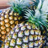 【送料無料】完熟スナックパイン｜沖縄県宜野座村