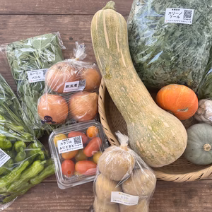 有機JAS認証☆採れたておまかせ野菜セット☆彡10～12品