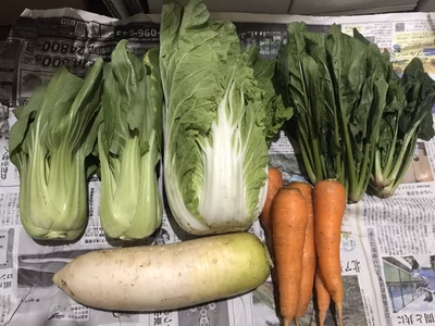 みんなの投稿の画像