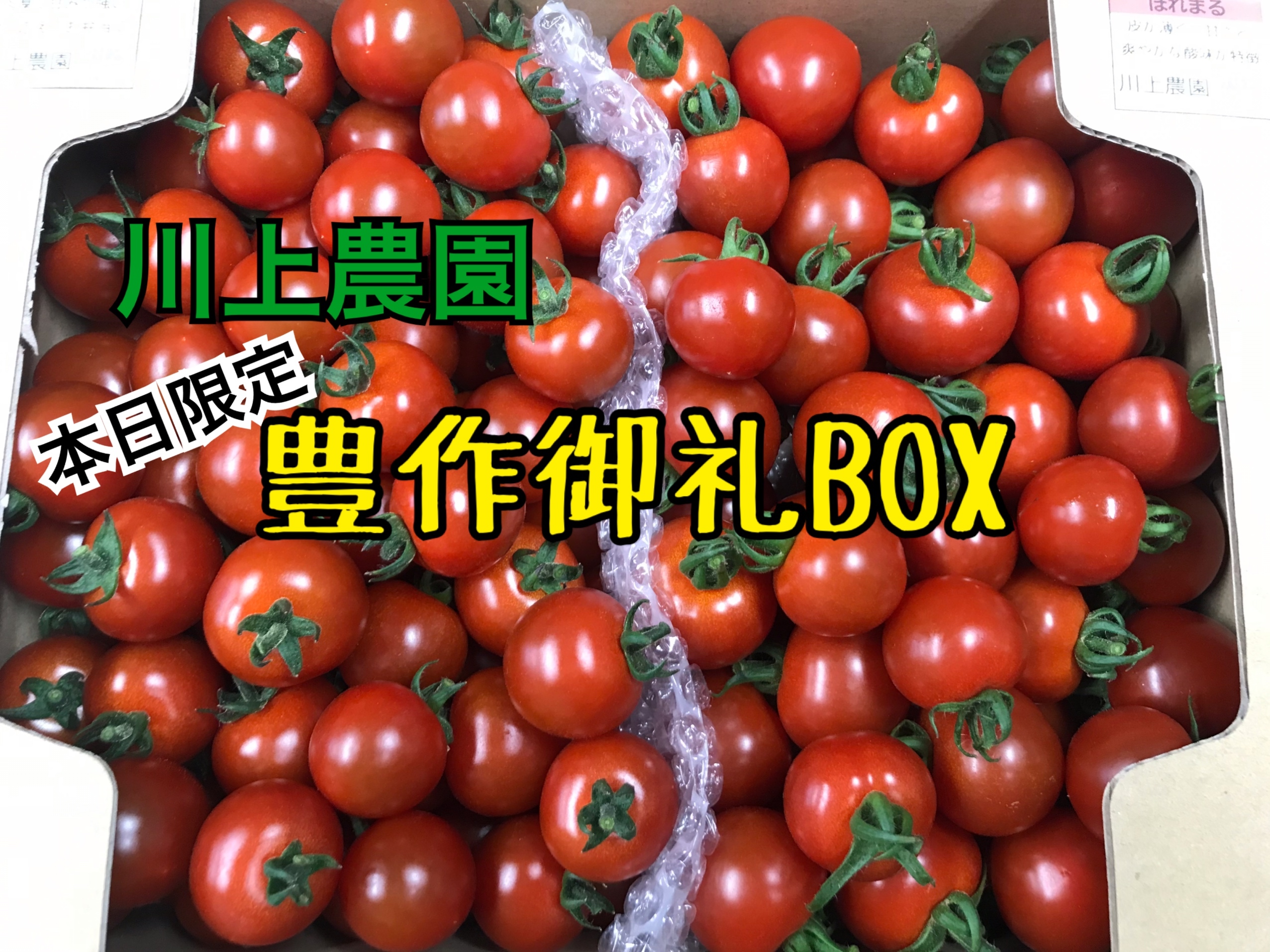 川上農園 豊作御礼box 品種おまかせ 茨城県産 農家漁師から産地直送の通販 ポケットマルシェ