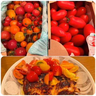 みんなの投稿の画像