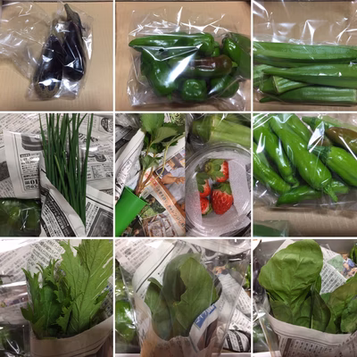 みんなの投稿の画像