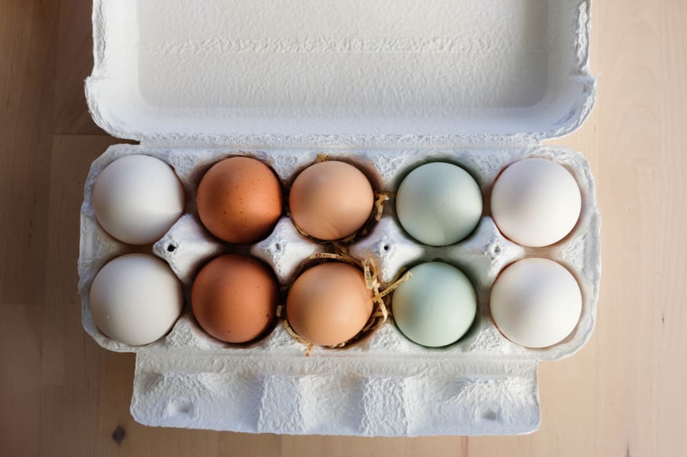 アローカナも烏骨鶏も 4色の卵セットを買ってみた 農家漁師から産地直送の通販 ポケットマルシェ