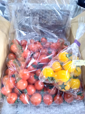 みんなの投稿の画像