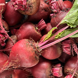 信州産｜(無選別)箱いっぱい！真っ赤なビーツ