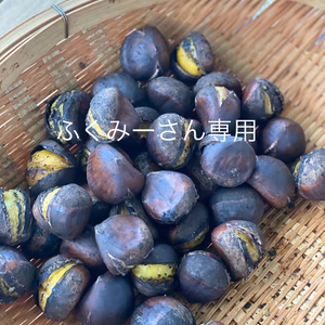 丹波産氷蔵熟成栗　筑波2Lサイズ3kg