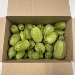 ✨訳あり希少野菜✨摘果メロン 農家直送