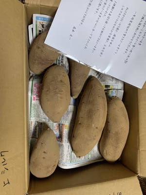 みんなの投稿の画像