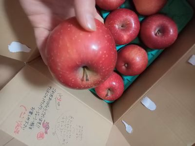 みんなの投稿の画像