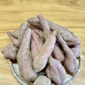 【訳あり】安納芋（保存しやすい土付きのまま）