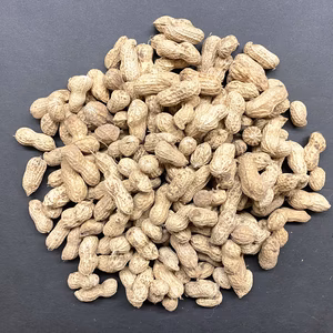 【7周年福袋】ジャンボ落花生・おおまさり　1kg