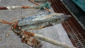 14364867_1851713878395920_5453974178337978919_n