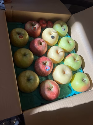 みんなの投稿の画像