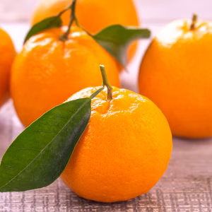 【香りふわっと、甘みぎゅっ！】ポンカン　※１月下旬発送